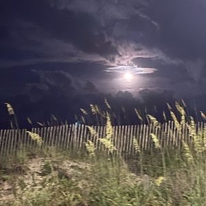 Meet your Posher, Billie